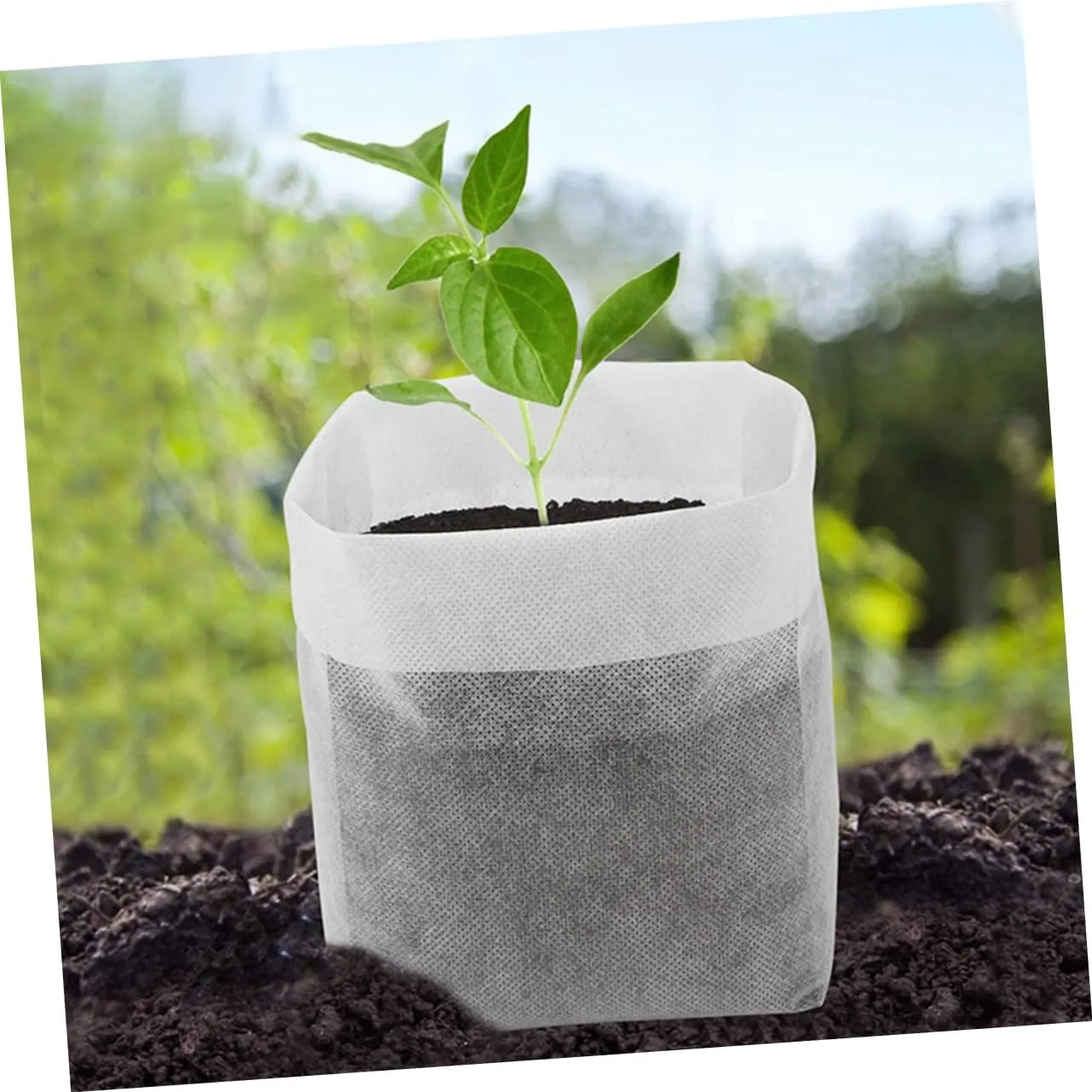 1 Set Flowers Plants Grow Bags Plant Nursery Bags Vegetables Plant Bags for Outdoor Plants Horticultural Nursery Grow Pouch Garden Planting Bags Plant Grow Bags Non-Woven Fabric