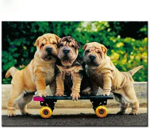1000 Piece Wooden Puzzle for Adults Three Shar Pei Dog Playing Skateboarding Jigsaw Puzzle Challenging for Youth Children Fun Puzzle Family Game Preschool Toys Best Gift
