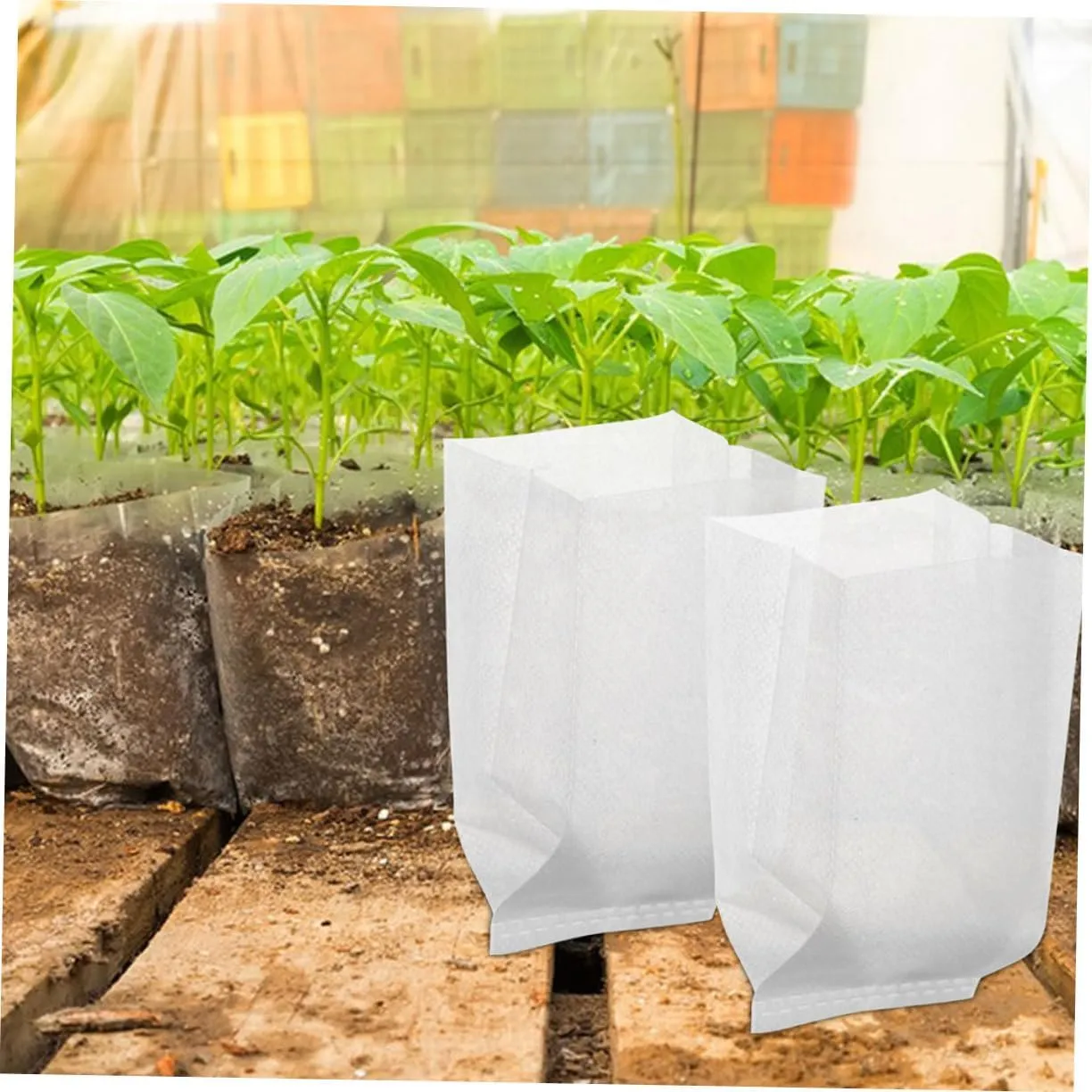 4sets Mushroom Growing Bags Plant Growing Bags Excellent Drainage Air Permeability for Use 100pcs*4
