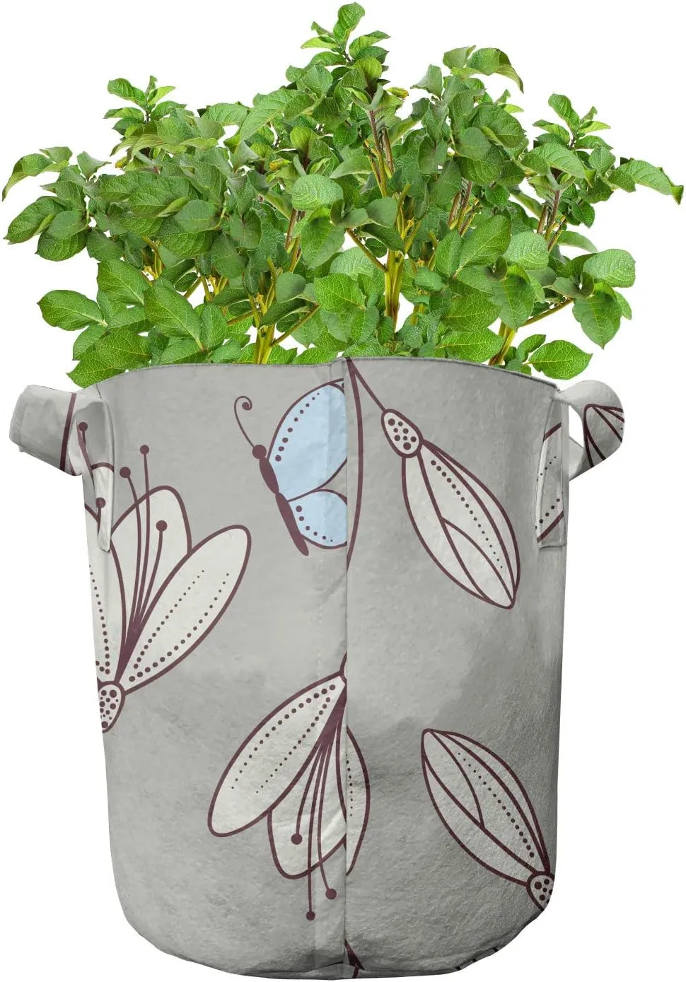 Ambesonne Butterfly Grow Bags 5-Pack, Leaves Flourish Moths, Heavyduty Fabric Pots with Handles for Plants, Dust and Dark Maroon