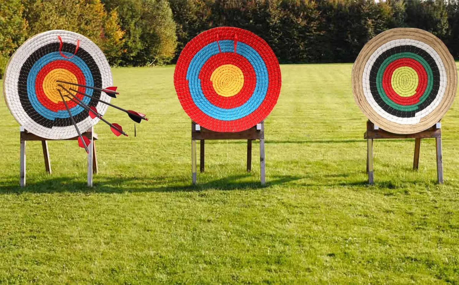 Archery Target - Backyard Straw Archery Target for Recurve Compound or Longbow - 20 Inch Traditional Bow Arrow Target for Kids Youth Adult Archery Hunting Practice
