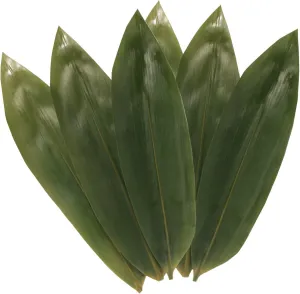 BambooMN Bamboo Leaves for Cooking Zongzi, Banana Leaf Alternative, Grilling/Barbeque, Natural Boiling Bags - 12.25 x 3.5 Inches - 1000 pack