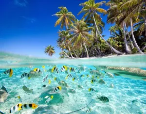 Beach Tropical Fish Jigsaw Puzzles 500 Pieces DIY Artwork Wooden Puzzle Prop Summer Seaside Intellectual Decompressing Toys Fun Game Gifts for Family Adults Teens Friends
