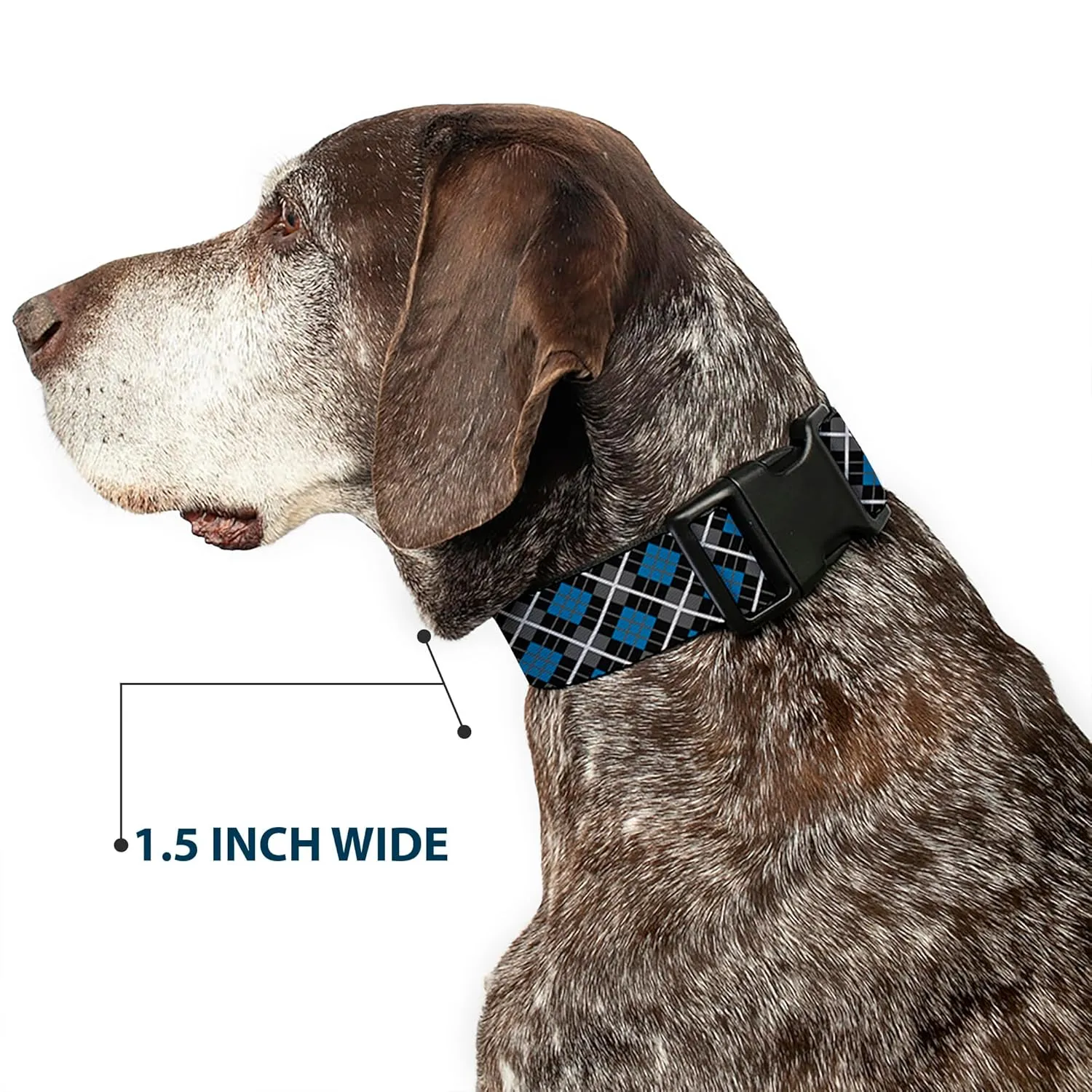 Buckle-Down Plastic Clip Collar - Argyle Black/Gray/Turquoise - 1" Wide - Fits 11-17" Neck - Medium