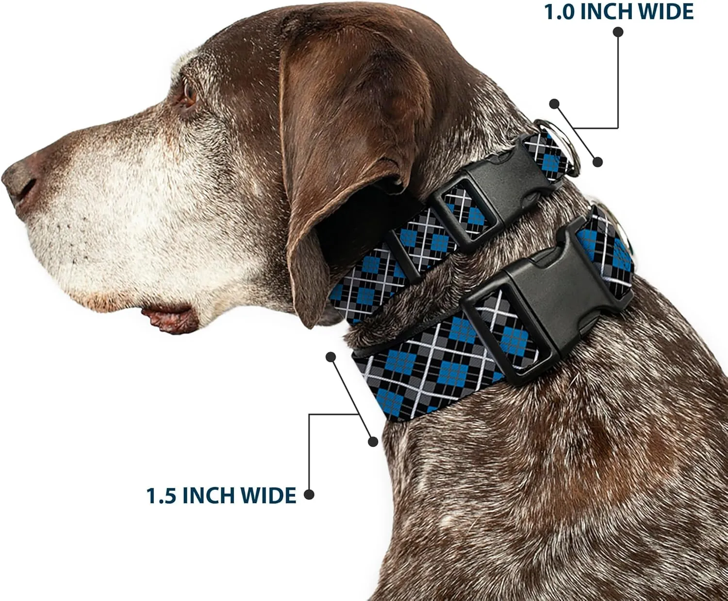 Buckle-Down Plastic Clip Collar - Argyle Black/Gray/Turquoise - 1" Wide - Fits 11-17" Neck - Medium