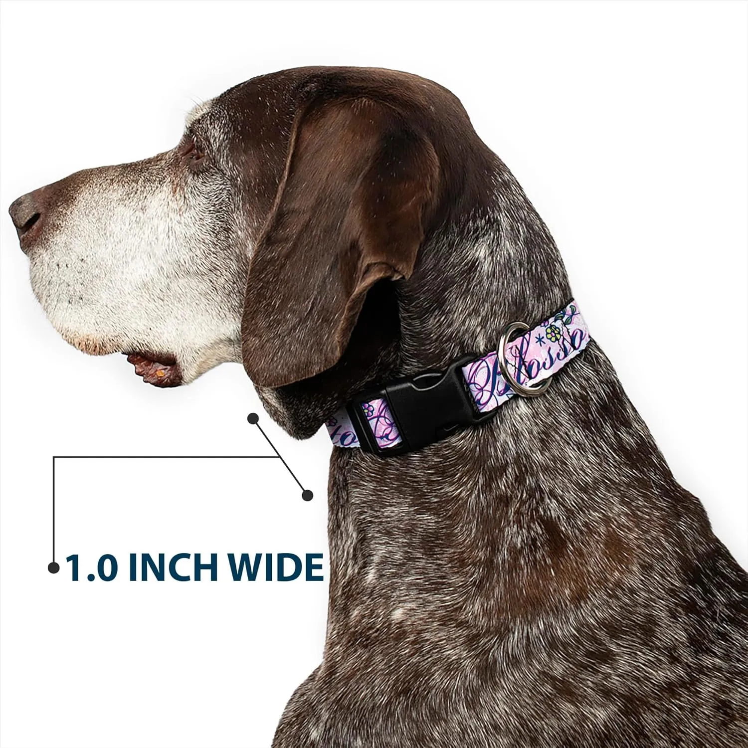 Buckle-Down Plastic Clip Collar - Born to Blossom Blue - 1" Wide - Fits 11-17" Neck - Medium