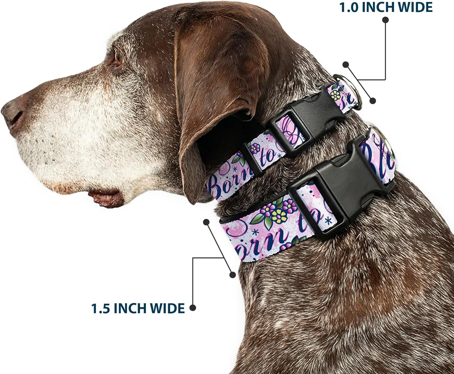 Buckle-Down Plastic Clip Collar - Born to Blossom Blue - 1" Wide - Fits 11-17" Neck - Medium