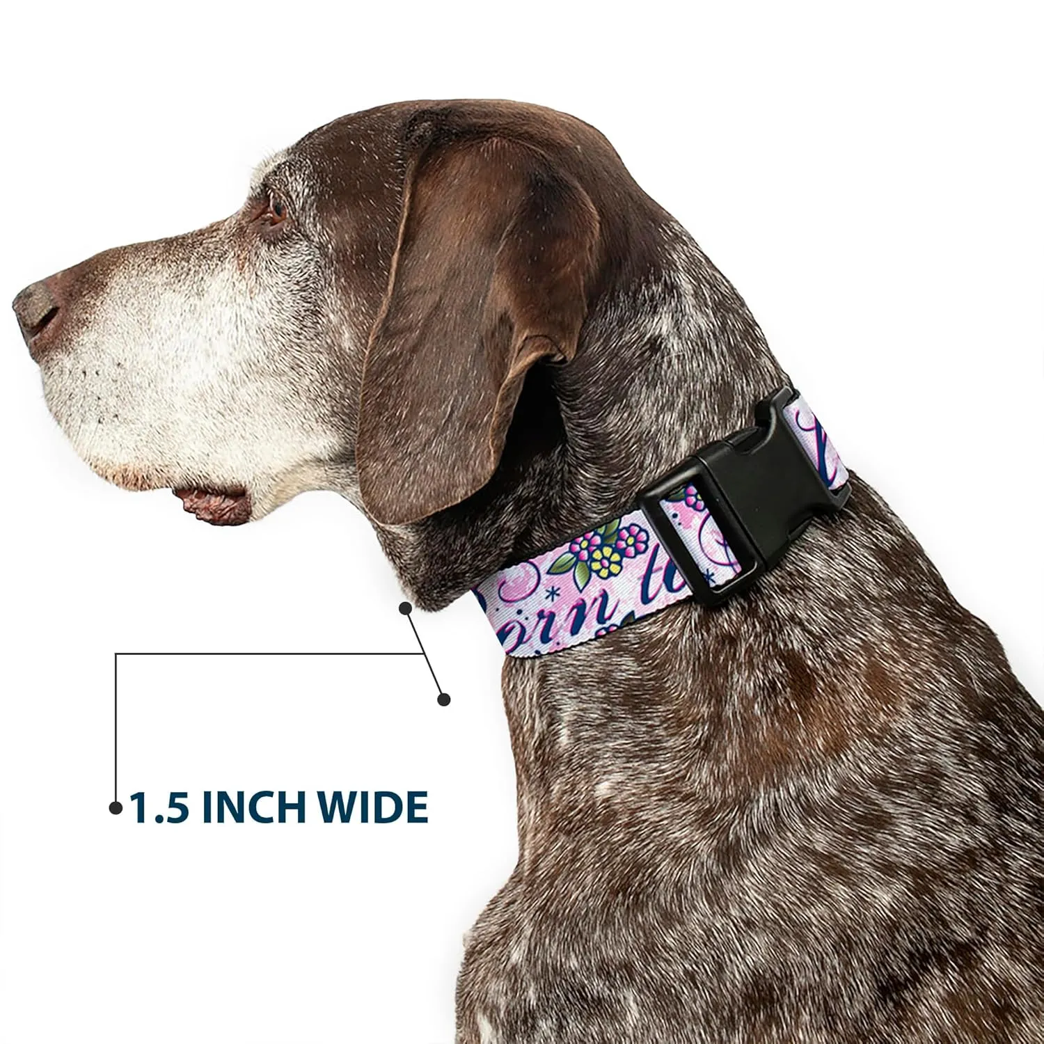 Buckle-Down Plastic Clip Collar - Born to Blossom Blue - 1" Wide - Fits 11-17" Neck - Medium