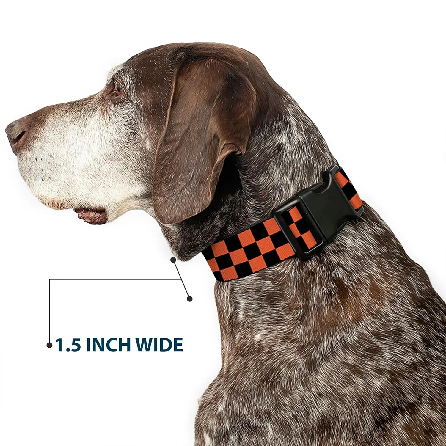 Buckle-Down Plastic Clip Collar - Checker Black/Orange - 1" Wide - Fits 11-17" Neck - Medium
