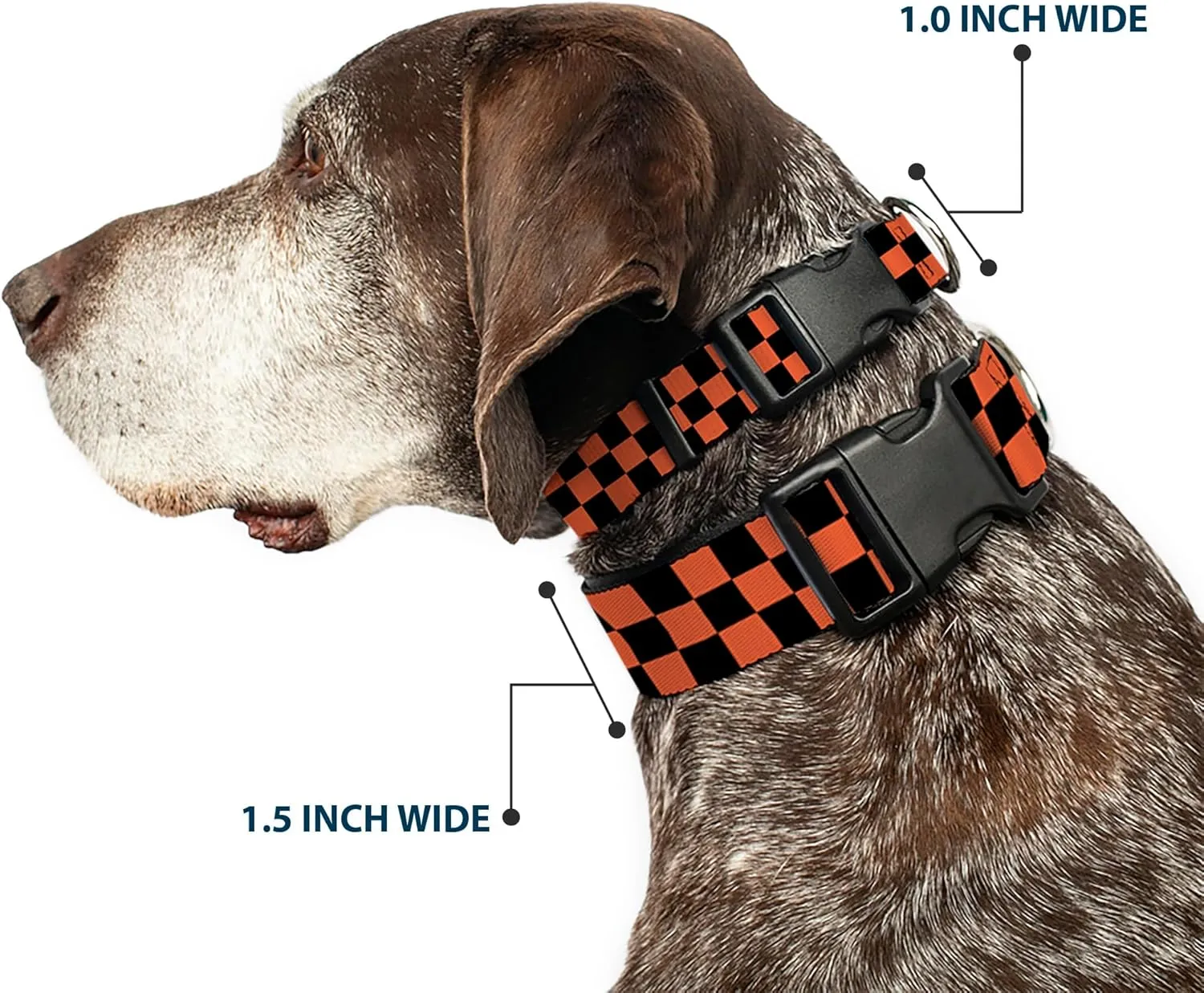 Buckle-Down Plastic Clip Collar - Checker Black/Orange - 1" Wide - Fits 11-17" Neck - Medium