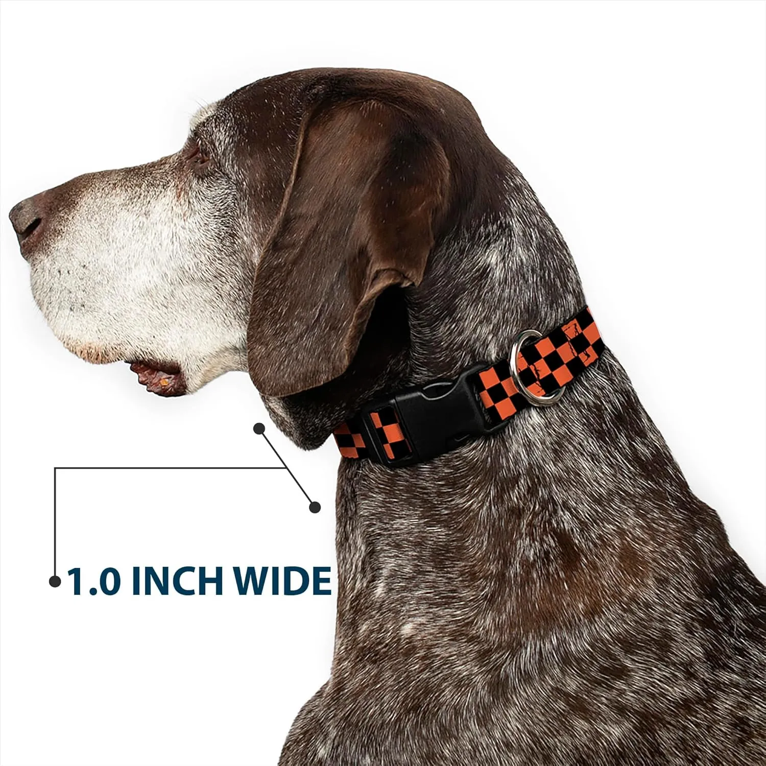Buckle-Down Plastic Clip Collar - Checker Black/Orange - 1" Wide - Fits 11-17" Neck - Medium