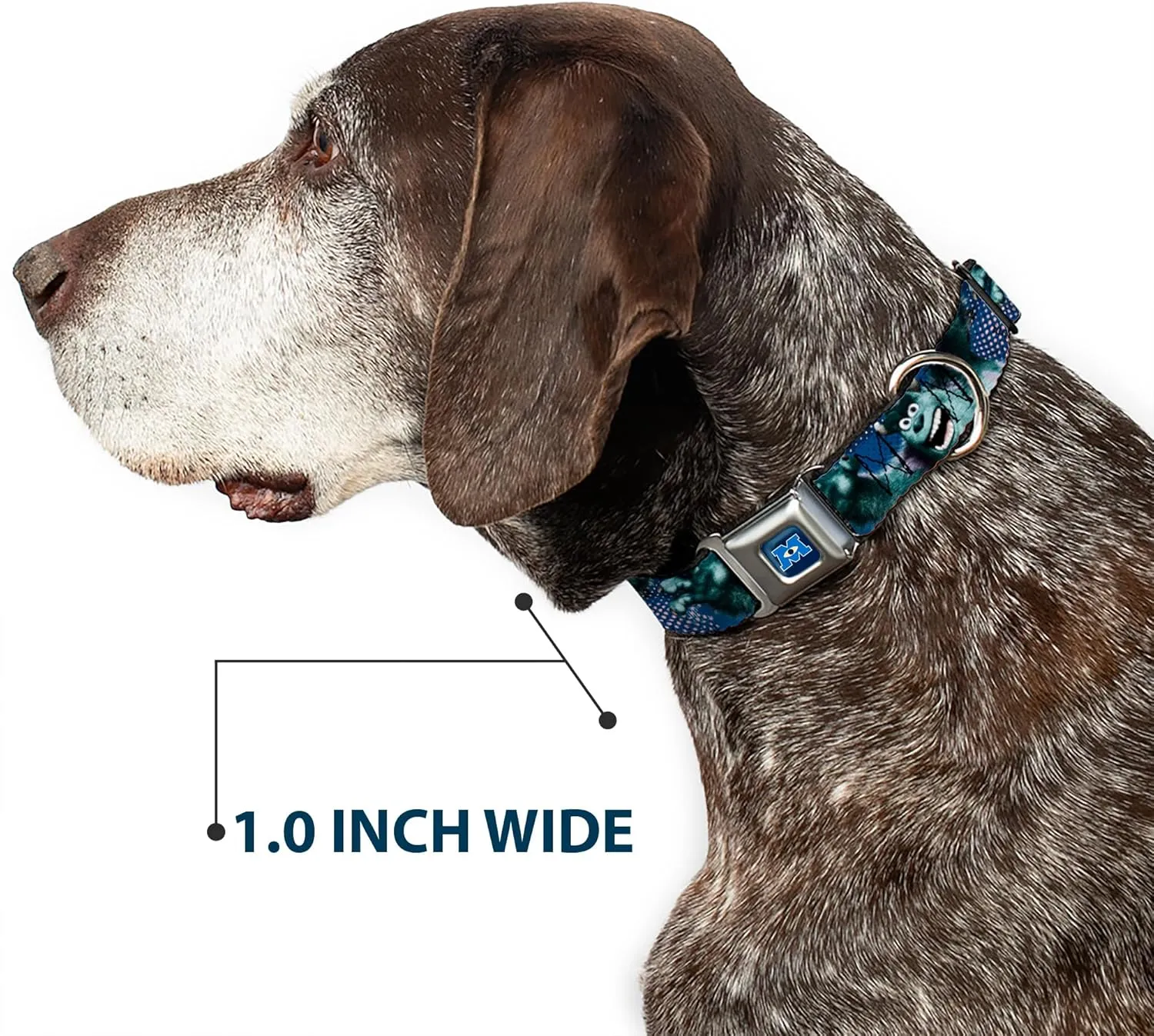 Buckle-Down Seatbelt Buckle Dog Collar - Sulley Scare Pose/Dots Blues/White - 1.5" Wide - Fits 16-23" Neck - Medium
