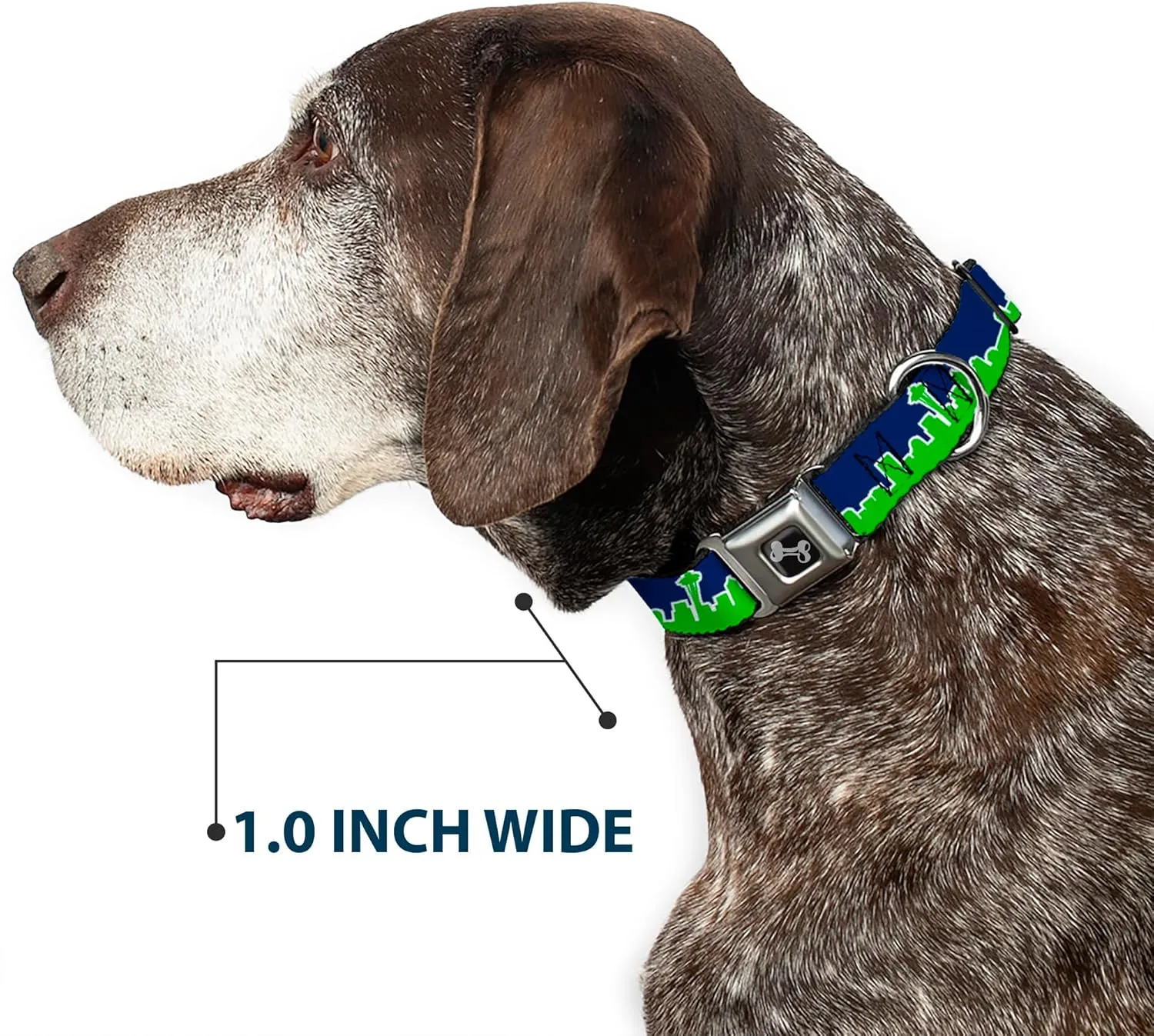 Dog Collar Seatbelt Buckle Seattle Skyline Navy Bright Green 15 to 26 Inches 1.0 Inch Wide
