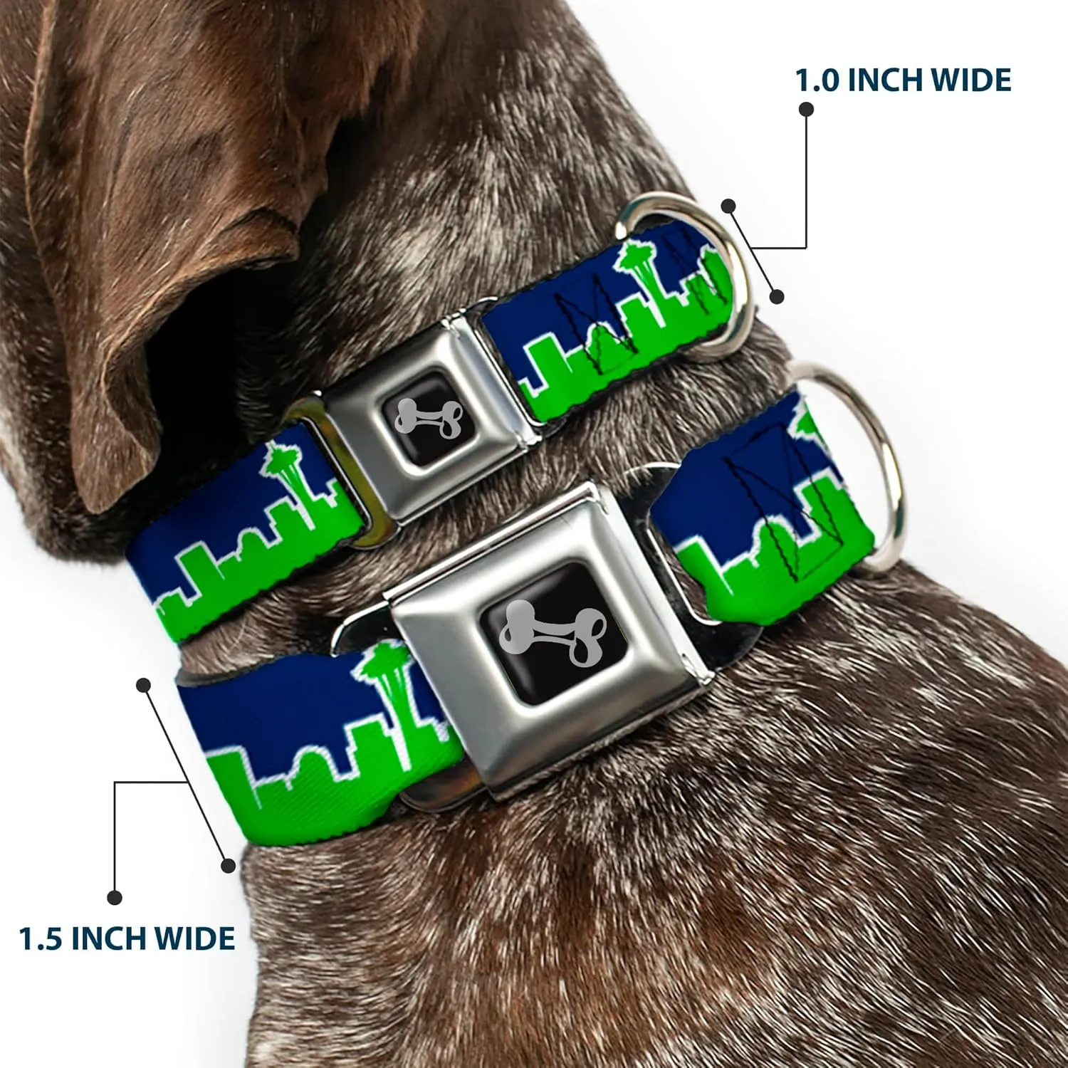 Dog Collar Seatbelt Buckle Seattle Skyline Navy Bright Green 15 to 26 Inches 1.0 Inch Wide