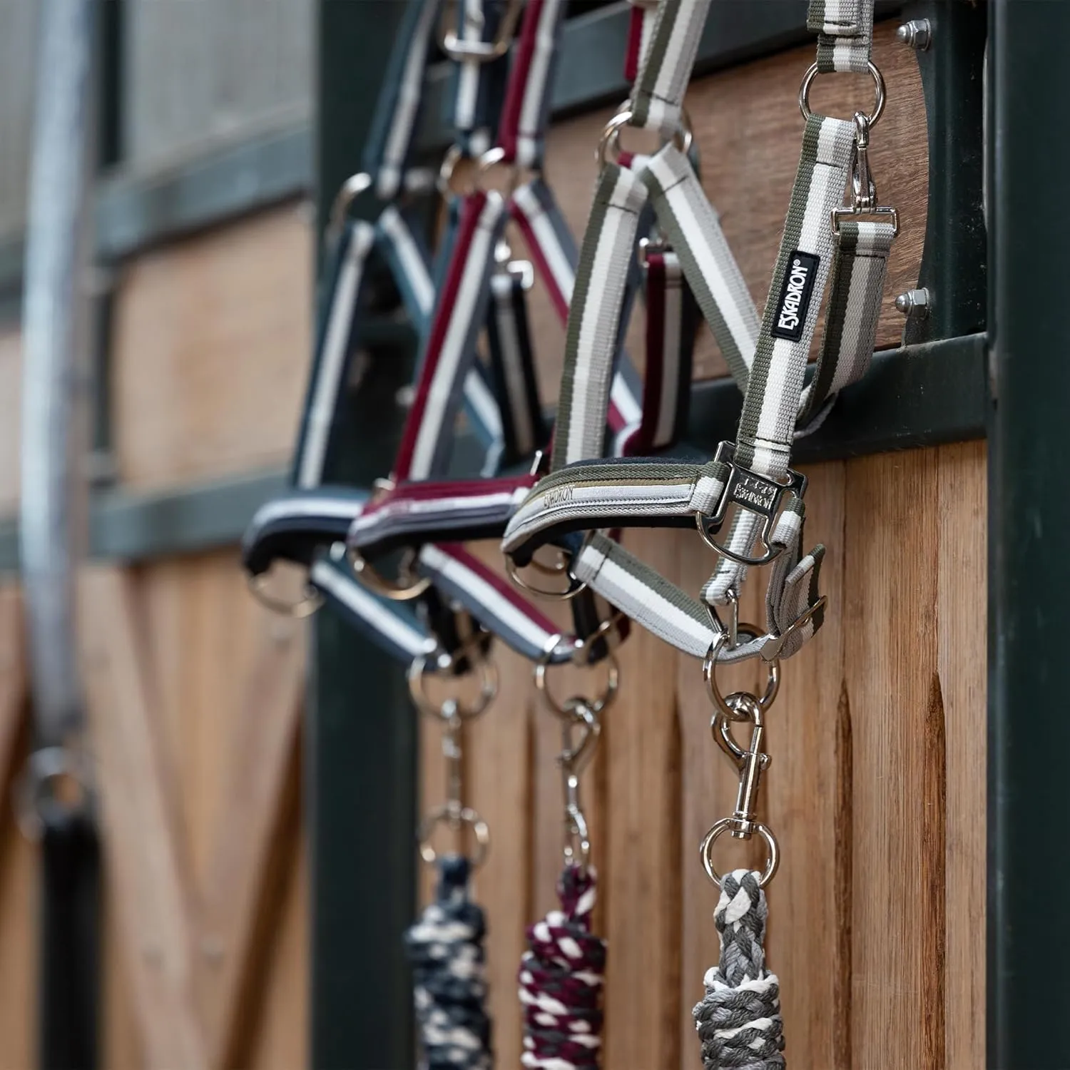 headcollar Multicolored PIN Buckle