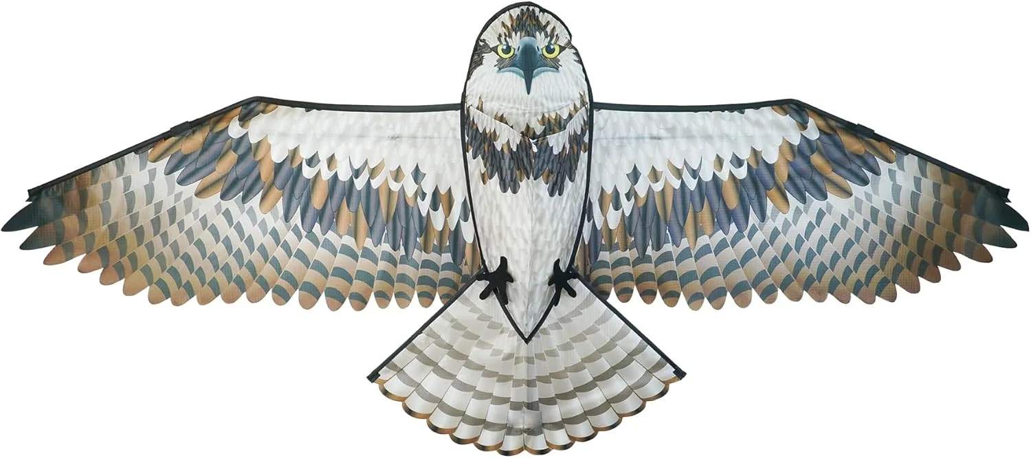In the Breeze Birds of Prey Kites, Detailed Printed Realistic Design