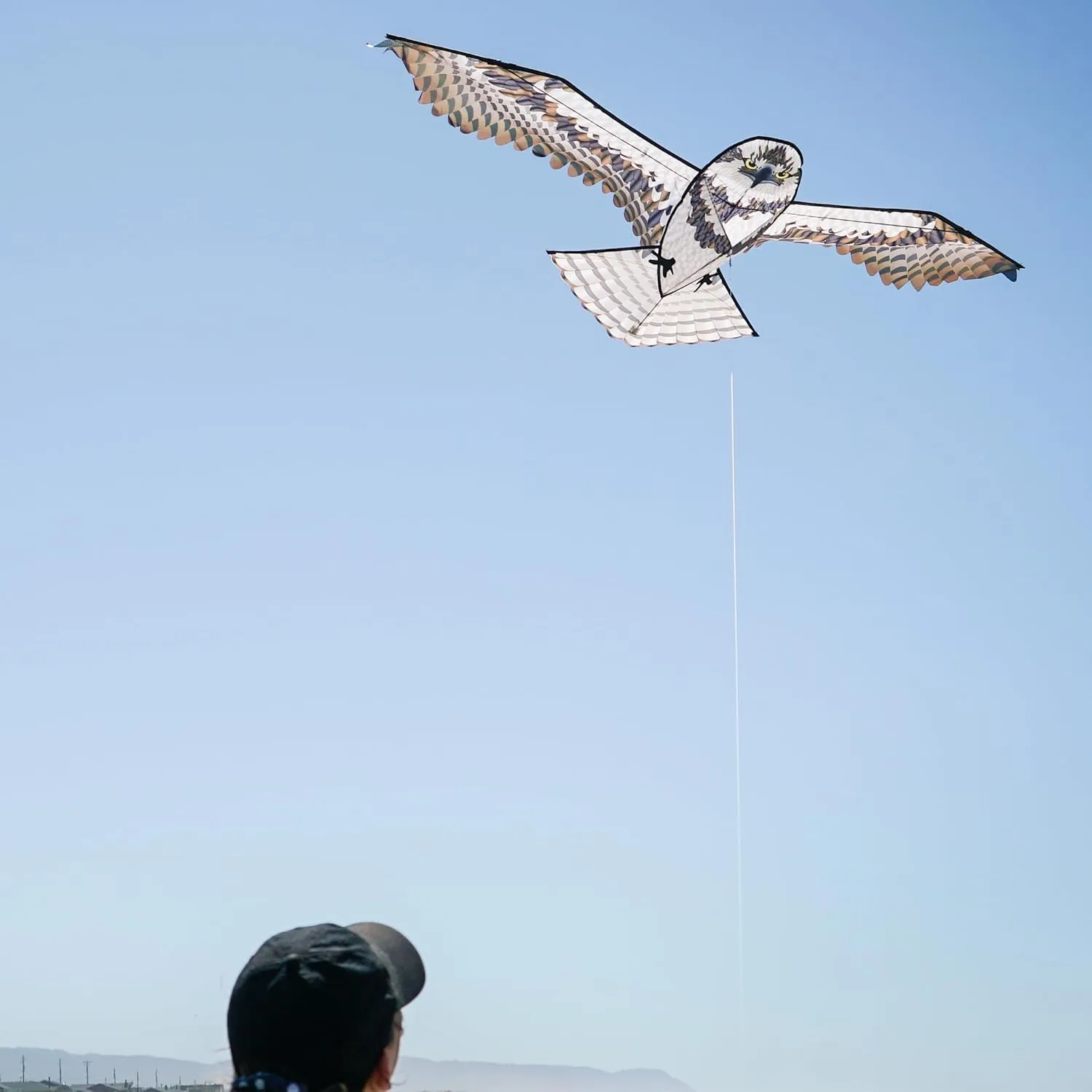 In the Breeze Birds of Prey Kites, Detailed Printed Realistic Design