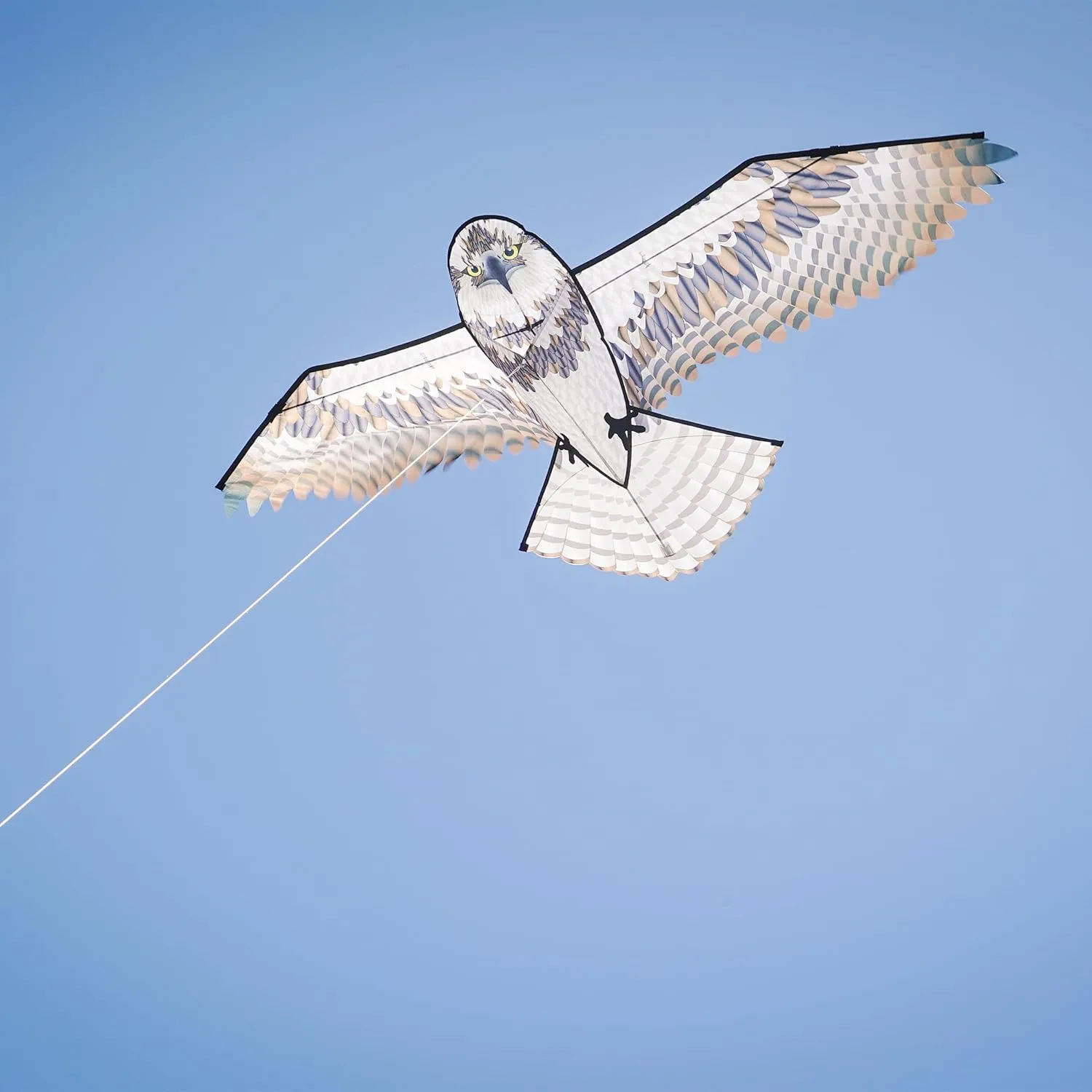 In the Breeze Birds of Prey Kites, Detailed Printed Realistic Design
