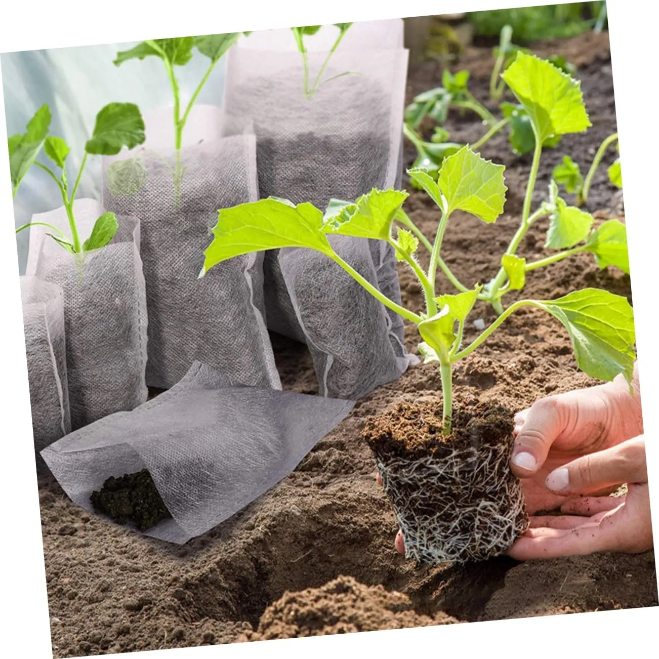 KESYOO 1 Set Plant Nursery Bag Fabric Vegetable Planting Bags Plant Bags Horticultural Bags Gardening Supplies Plants Seedling Outdoor Garden Bed Gardening Accessories