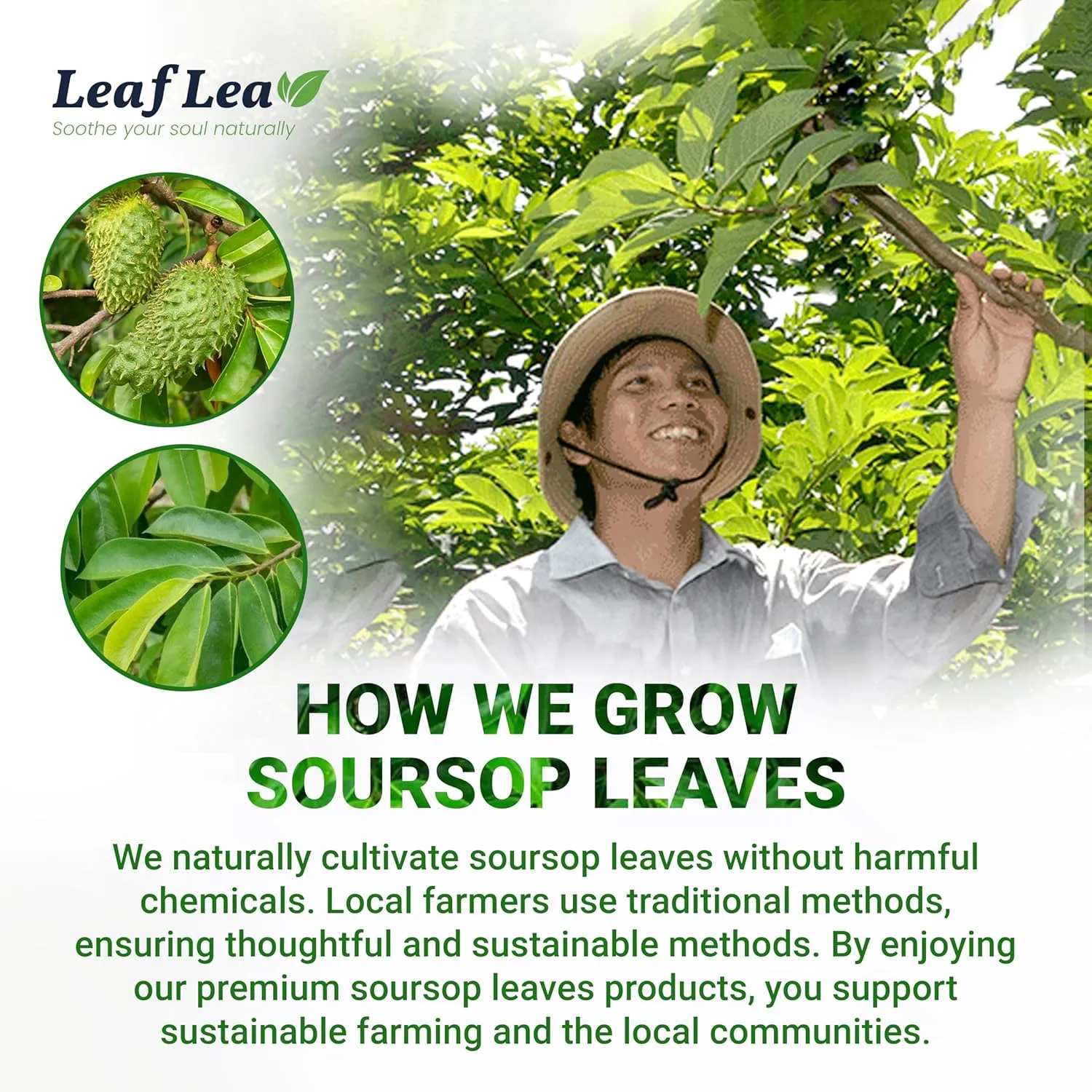 LeafLea 80 Soursop Leaf Tea Bags, 100% Pure Graviola (Hoja Guanabana) Leaves, Sour Sop Herbal Tea, Individually Wrapped for Freshness, Caffeine-Free, Sugar-Free, Gluten-Free, Non-GMO (Pack of 2)