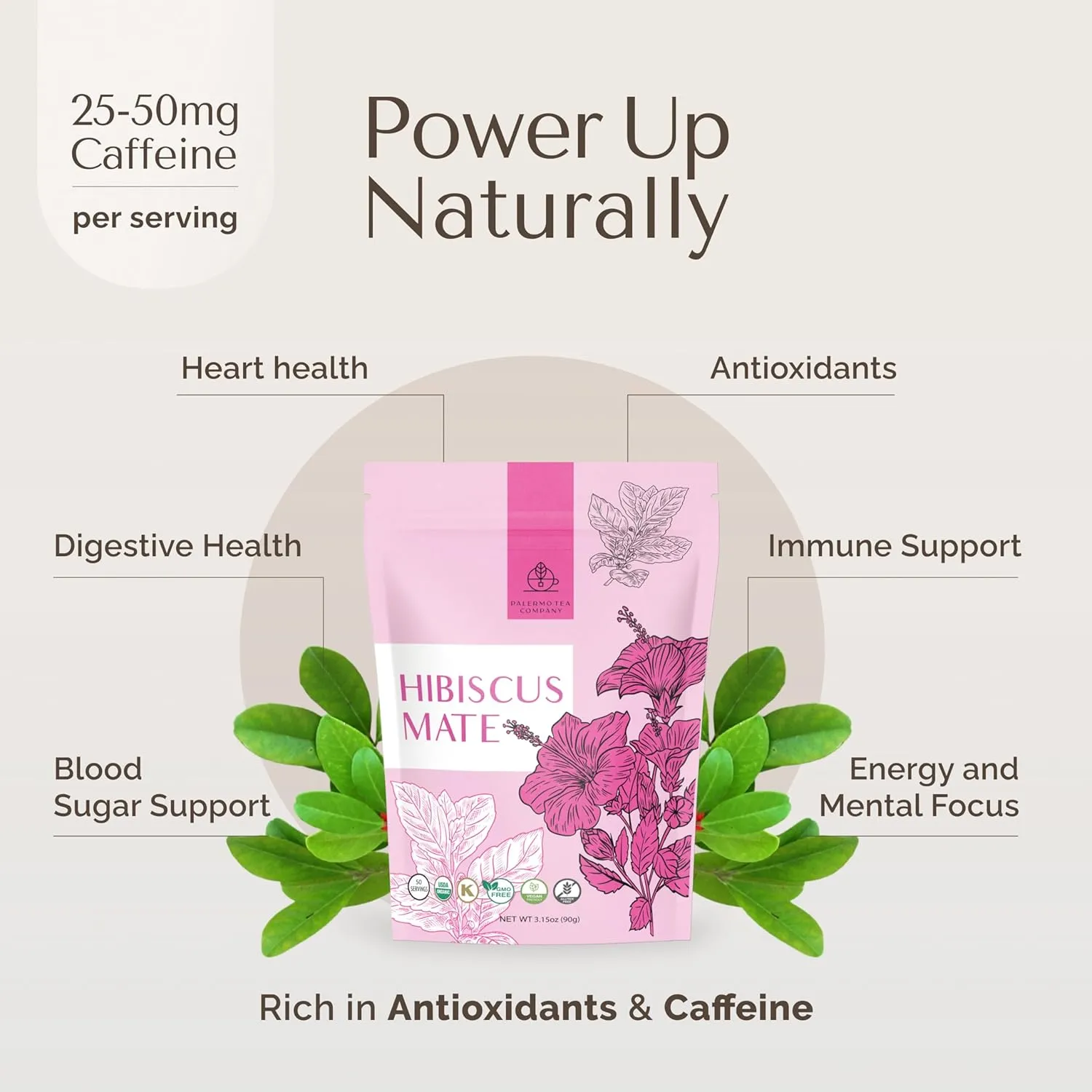 Palermo Organic Yerba Mate Tea Bags 50 Count - Lively Hibiscus Mate with Cinnamon, Chicory, Clove & Cacao - Antioxidant-Rich, Tart & Fruity, Gluwein-like Tropical Aroma, Unsmoked, Vegan, Gluten-Free