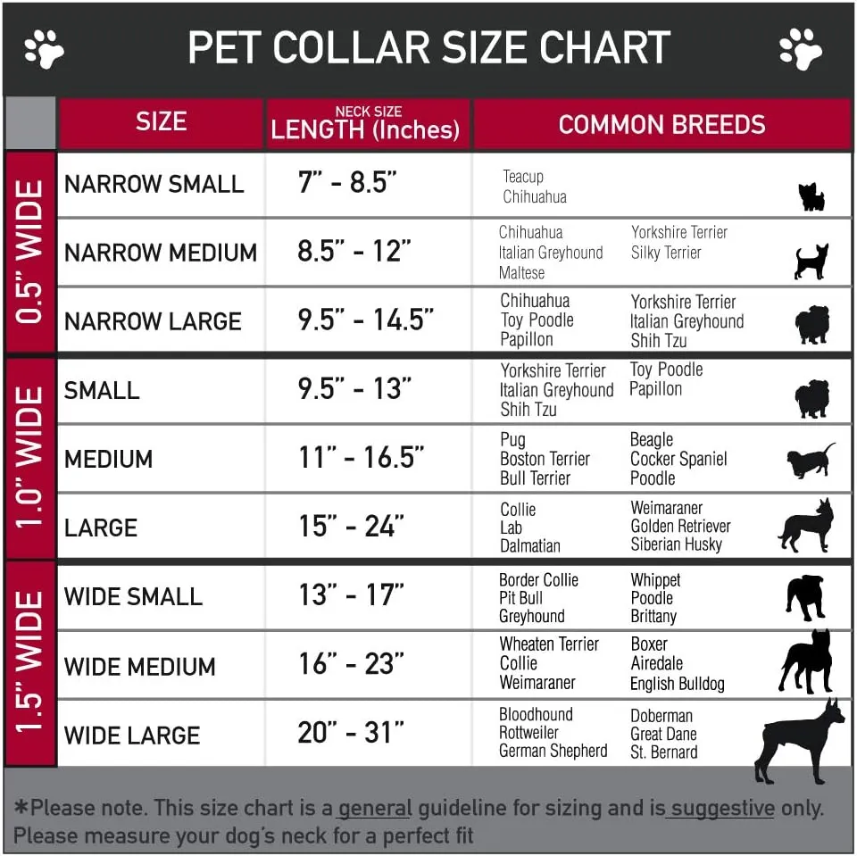 Peanuts Worldwide LLC Pet Collar, Dog Collar Plastic Buckle, Peanuts Charlie Brown Zig Zag Stripe Yellow Black, 15 to 24 Inches 1.0 Inch Wide