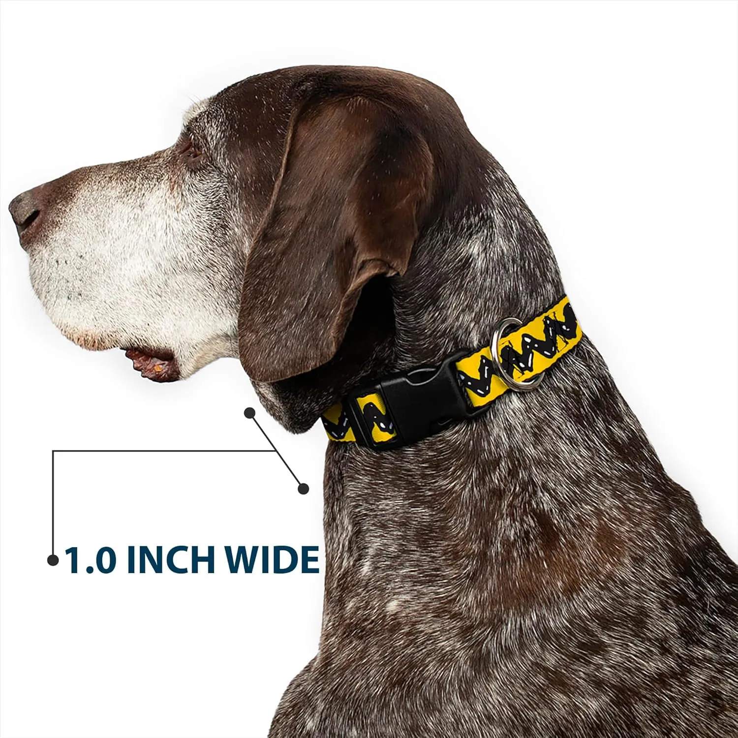 Peanuts Worldwide LLC Pet Collar, Dog Collar Plastic Buckle, Peanuts Charlie Brown Zig Zag Stripe Yellow Black, 15 to 24 Inches 1.0 Inch Wide