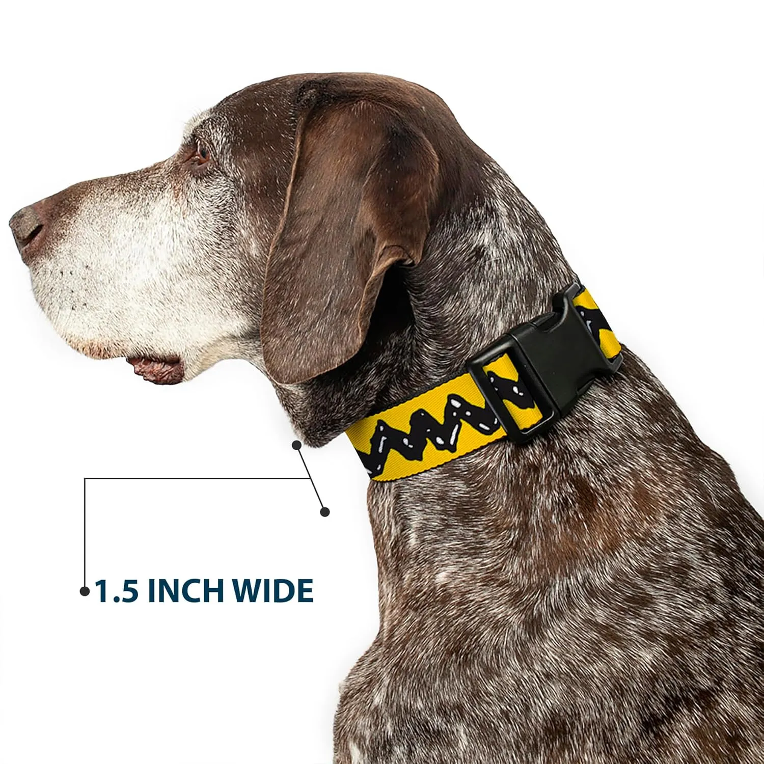 Peanuts Worldwide LLC Pet Collar, Dog Collar Plastic Buckle, Peanuts Charlie Brown Zig Zag Stripe Yellow Black, 15 to 24 Inches 1.0 Inch Wide