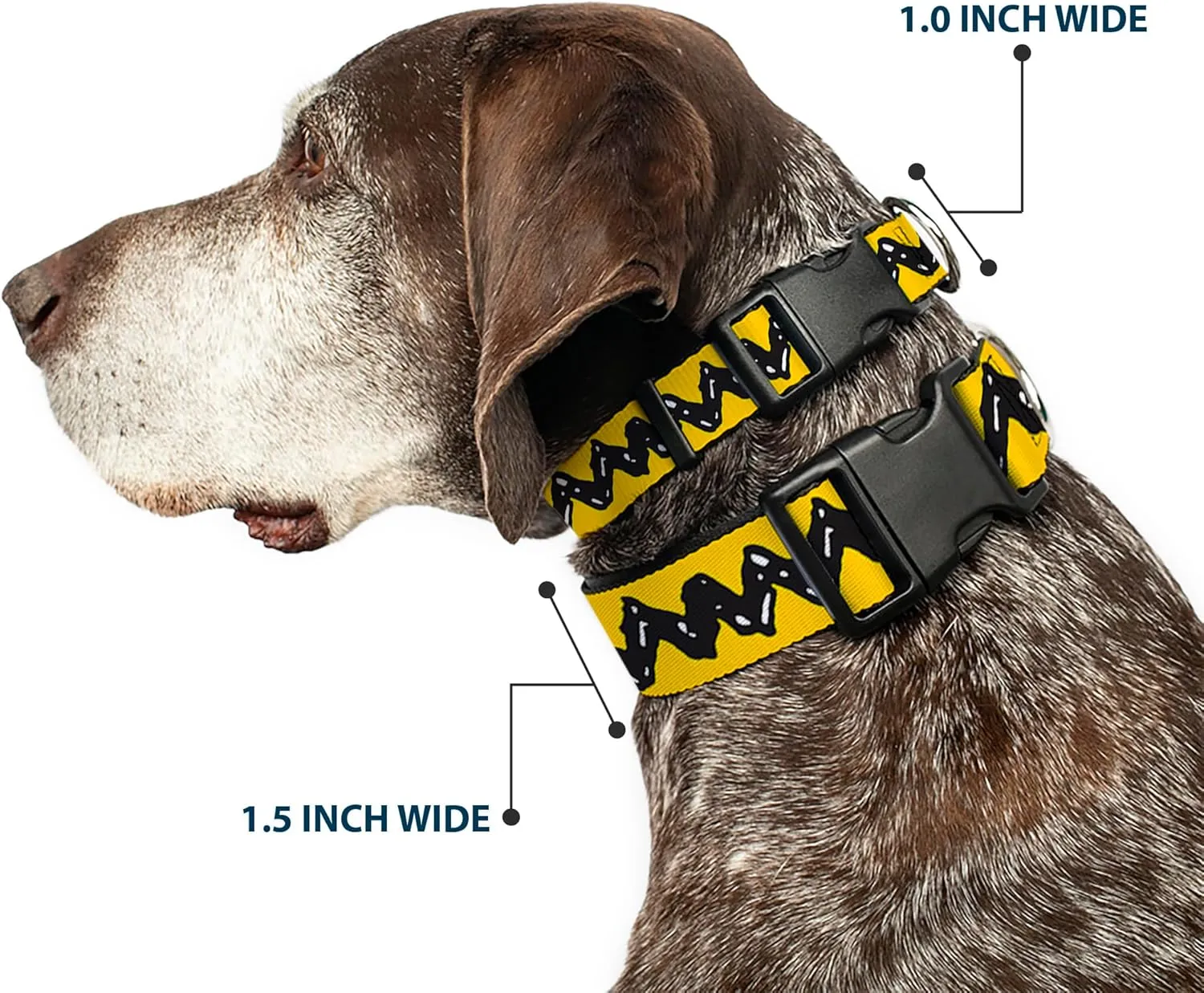Peanuts Worldwide LLC Pet Collar, Dog Collar Plastic Buckle, Peanuts Charlie Brown Zig Zag Stripe Yellow Black, 15 to 24 Inches 1.0 Inch Wide