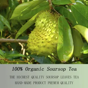 Premium Soursop Graviola Leaf Tea Bags - Soursop Tea, Hojas De Guanábana, 100% Natural and Pure, Handmade,Boosts Immunity, No Sugar, No Caffeine (1)