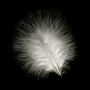 TURKEY MARABOU FEATHERS 1-4"  - WHITE