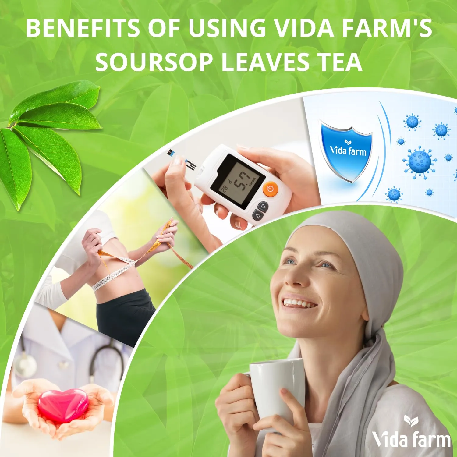 VIDA FARM 100 Soursop Tea Bags, 100% Natural Pure Soursop Graviola Leaves Tea Bags, Pleasant Taste, Natural Flavor, Caffeine Free, Guanabana Leaves Dried Soursop Leaves Guyabano Tea