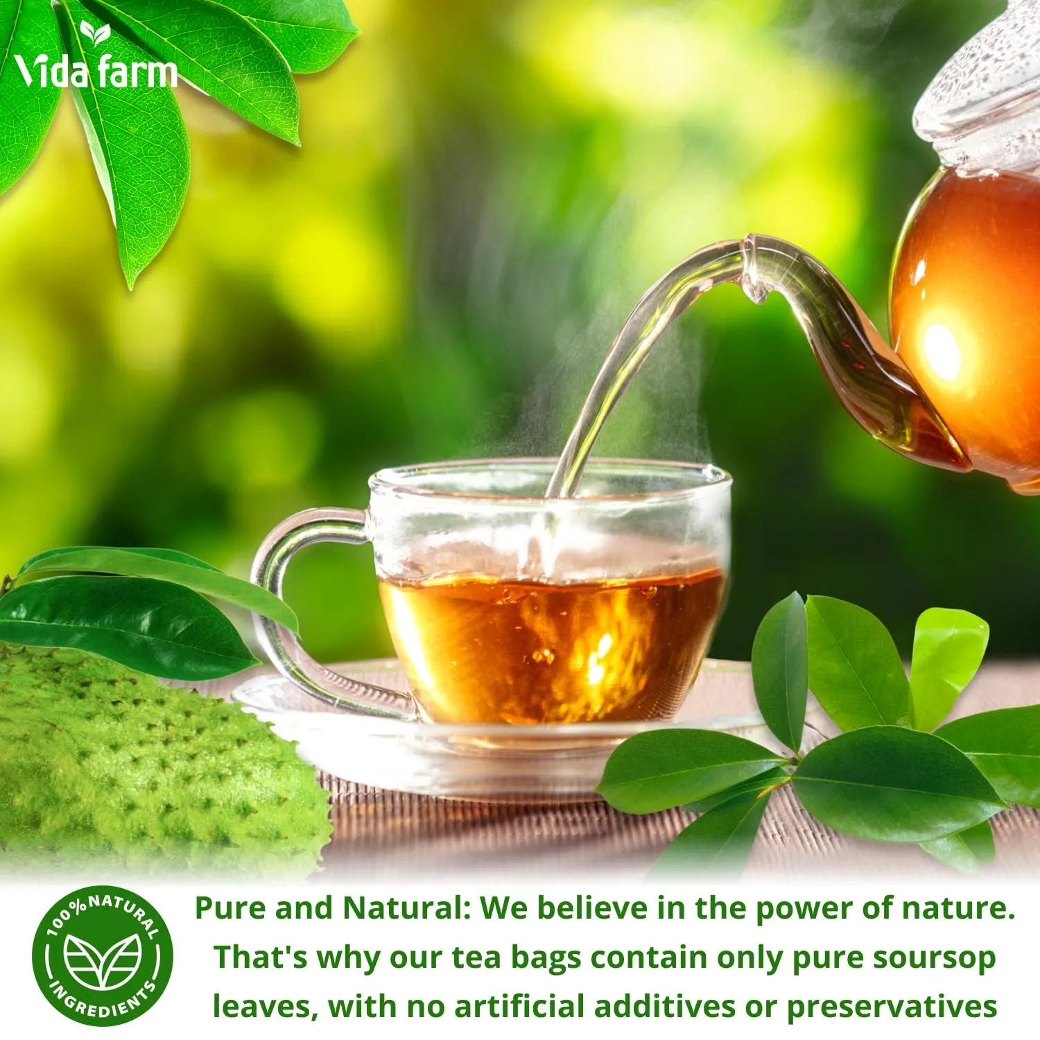 VIDA FARM 100 Soursop Tea Bags, 100% Natural Pure Soursop Graviola Leaves Tea Bags, Pleasant Taste, Natural Flavor, Caffeine Free, Guanabana Leaves Dried Soursop Leaves Guyabano Tea