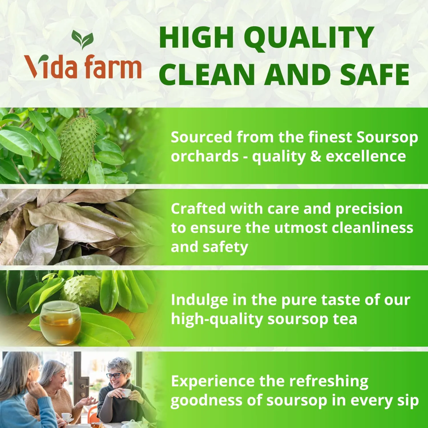 VIDA FARM 65 Soursop Tea Bags, 100% Natural Pure Sousop Leaves Tea Bags, Pleasant Taste Natural Flavor Caffeine Free, Dried Soursop Leaves Tea