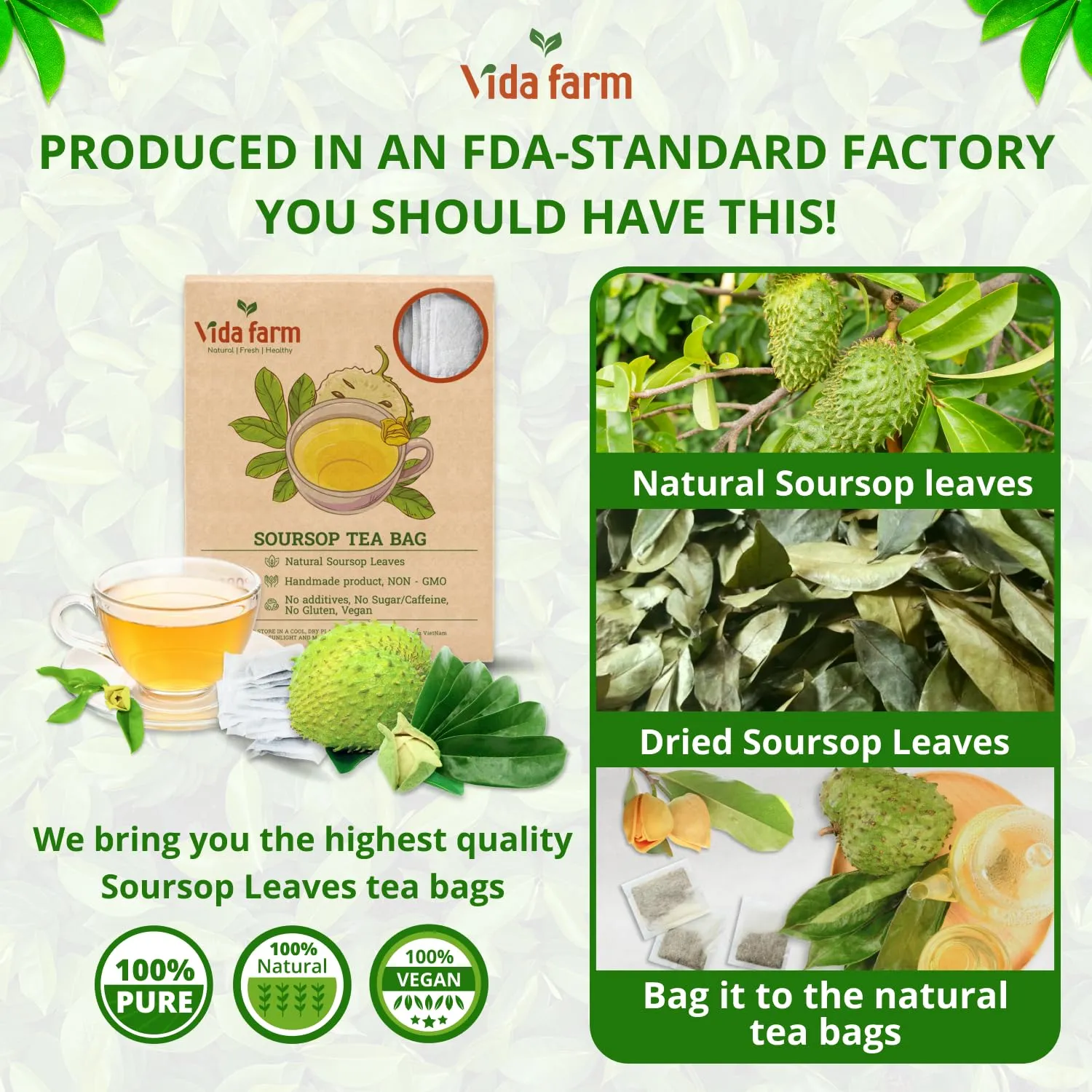 VIDA FARM 65 Soursop Tea Bags, 100% Natural Pure Sousop Leaves Tea Bags, Pleasant Taste Natural Flavor Caffeine Free, Dried Soursop Leaves Tea