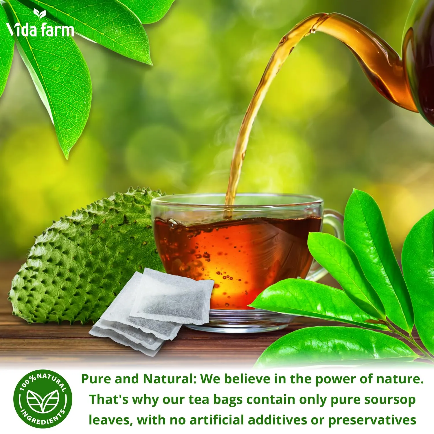 VIDA FARM 65 Soursop Tea Bags, 100% Natural Pure Sousop Leaves Tea Bags, Pleasant Taste Natural Flavor Caffeine Free, Dried Soursop Leaves Tea
