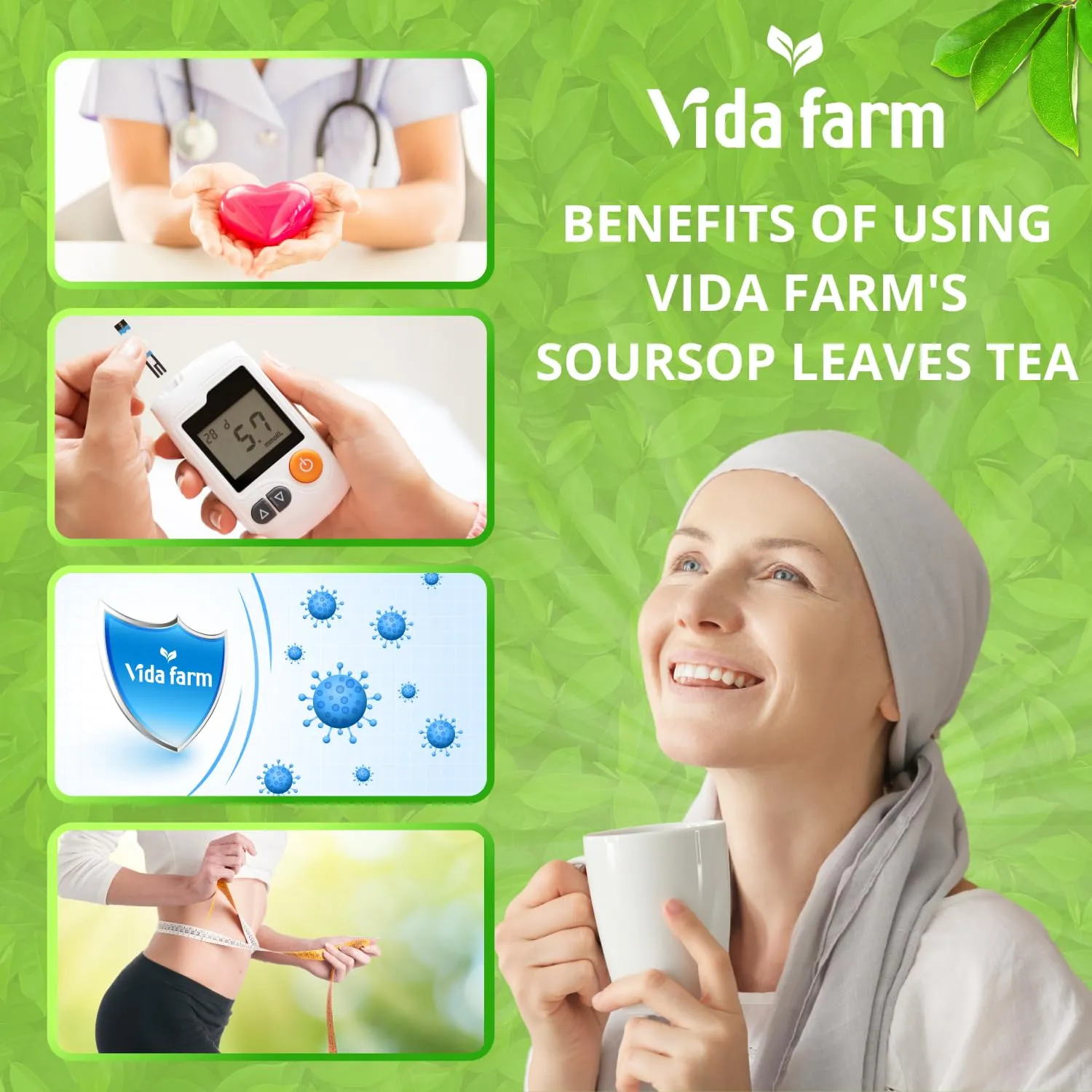 VIDA FARM 65 Soursop Tea Bags, 100% Natural Pure Sousop Leaves Tea Bags, Pleasant Taste Natural Flavor Caffeine Free, Dried Soursop Leaves Tea