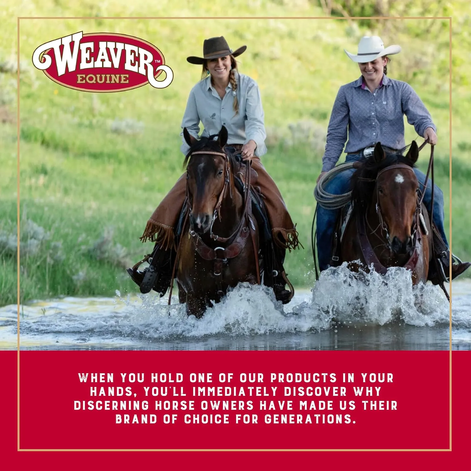 Weaver LeatherEquine Cinch