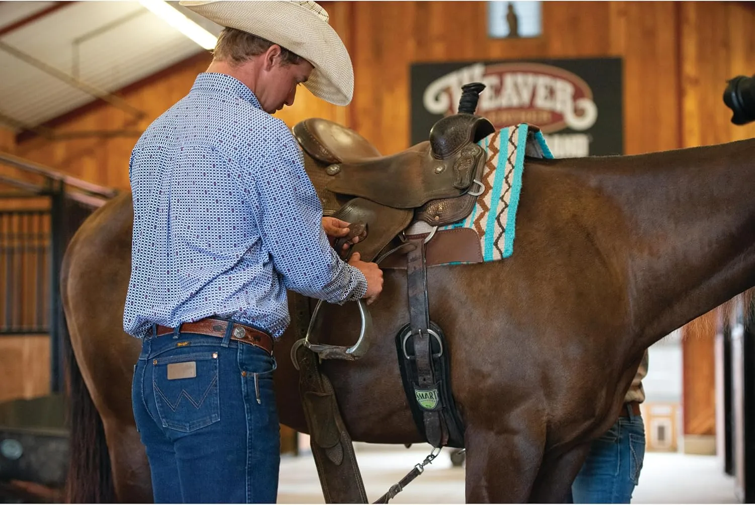 Weaver LeatherEquine Cinch